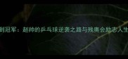从轮椅到冠军赵帅的乒乓球逆袭之路与残奥会励志人生全记录