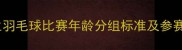 小学生羽毛球比赛年龄分组标准及参赛指南