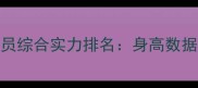 现役NBA球员综合实力排名身高数据荣誉全