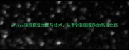 sirigu球员职业生涯与技术从青训到国家队的高光之路