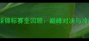 德国羽毛球锦标赛全回顾巅峰对决与冷门时刻
