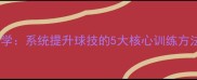 羽毛球入门必学系统提升球技的5大核心训练方法与实战技巧