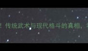 雷公太极VS散打实战对比传统武术与现代格斗的真相看完颠覆你的认知