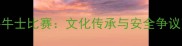 西班牙传统斗牛士比赛文化传承与安全争议下的现代困境