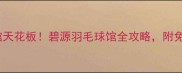 河南羽毛球馆天花板碧源羽毛球馆全攻略附免费体验攻略