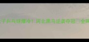 全运会女子乒乓球爆冷河北黑马逆袭夺冠全网沸腾