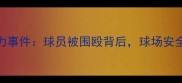 深度调查某国际赛事观众暴力事件球员被围殴背后球场安全与球迷行为规范如何平衡