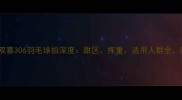 专业评测红双喜306羽毛球拍深度甜区挥重适用人群全附选购指南