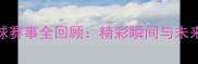 羽毛球赛事全回顾精彩瞬间与未来展望