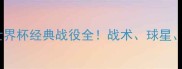法国VS西班牙2006世界杯经典战役全战术球星争议点一网打尽