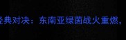 缅甸vs柬埔寨足球经典对决东南亚绿茵战火重燃胜负悬念引爆全网