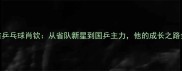 湖南省乒乓球肖钦从省队新星到国乒主力他的成长之路全记录