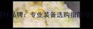 金龙乒乓球器材品牌专业装备选购指南与市场前景分析
