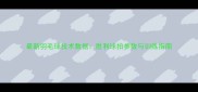 最新羽毛球技术数据胜利球拍参数与训练指南