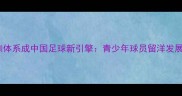 海外青训体系成中国足球新引擎青少年球员留洋发展全攻略