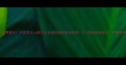 中爱足球赛爆冷中国男足vs爱尔兰全场高能时刻全回顾0-3落后绝地反击李铁战术亮剑