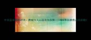 中美篮球巅峰对决费城76人vs温哥华灰熊NBA季前赛焦点战前瞻