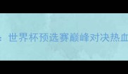 中国女足vs芬兰世界杯预选赛巅峰对决热血战报及战术深度