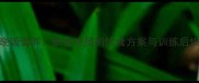 CBA球员晚饭营养职业球员的饮食方案与训练后恢复指南