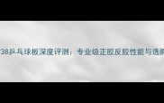 银河738乒乓球板深度评测专业级正胶反胶性能与选购指南