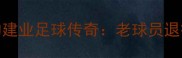 那些年我们追过的建业足球传奇老球员退役故事与青训体系