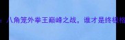 泰森VS桑德斯八角笼外拳王巅峰之战谁才是终极格斗王者