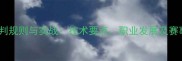 羽毛球裁判规则与实战技术要点职业发展及赛事影响全