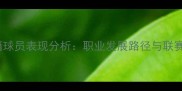 NBN中国籍球员表现分析职业发展路径与联赛价值研究