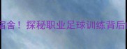 东莞队球员宿舍探秘职业足球训练背后的秘密故事