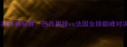 世界排球锦标赛巴西男排vs法国女排巅峰对决全