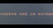 2004年中国女子乒乓球冠军传奇刘诗雯王楠张怡宁的巅峰对决与时代印记