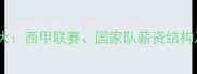 西班牙球员年薪大西甲联赛国家队薪资结构及职业发展路径