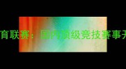 中国Maya杯全国体育联赛国内顶级竞技赛事开启全民观赛热潮