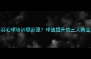 北京羽毛球培训哪家强球速提升的三大黄金法则