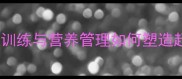 美国高中足球青训体能训练与营养管理如何塑造超级新星附训练计划