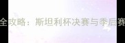 NHL赛季全攻略斯坦利杯决赛与季后赛系列赛