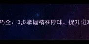 羽毛球停球技巧全3步掌握精准停球提升进攻与防守效率