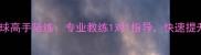 北京上海广州羽毛球高手陪练专业教练1对1指导快速提升技术预约咨询