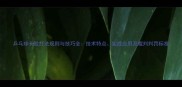 乒乓球长胶打法规则与技巧全技术特点实战应用及裁判判罚标准