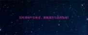 羽毛球线YY价格全最新报价与选购指南