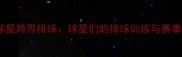 NBA球星跨界排球球星们的排球训练与赛事趣闻