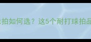 最新测评羽毛球拍如何选这5个耐打球拍品牌闭眼入不踩雷