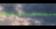 羽毛球男双世锦赛爆冷夺冠中国组合张楠王晨的逆袭之路与夺冠秘籍全