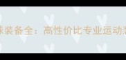 迪卡侬羽毛球装备全高性价比专业运动装备选购指南