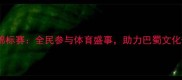 阆中全国羽毛球锦标赛全民参与体育盛事助力巴蜀文化传承与全民健身