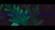 萌宠VS猛兽大宫松鼠VS鹿热血对决这场动物运动会谁更胜一筹