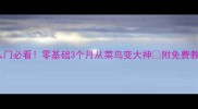 羽毛球入门必看零基础3个月从菜鸟变大神附免费教学资源