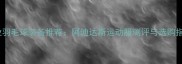 专业羽毛球装备推荐阿迪达斯运动服测评与选购指南