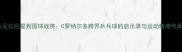 从足坛巨星到国球战将C罗纳尔多跨界乒乓球的启示录与运动精神传承