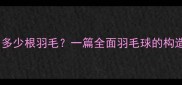 羽毛球由多少根羽毛一篇全面羽毛球的构造与性能